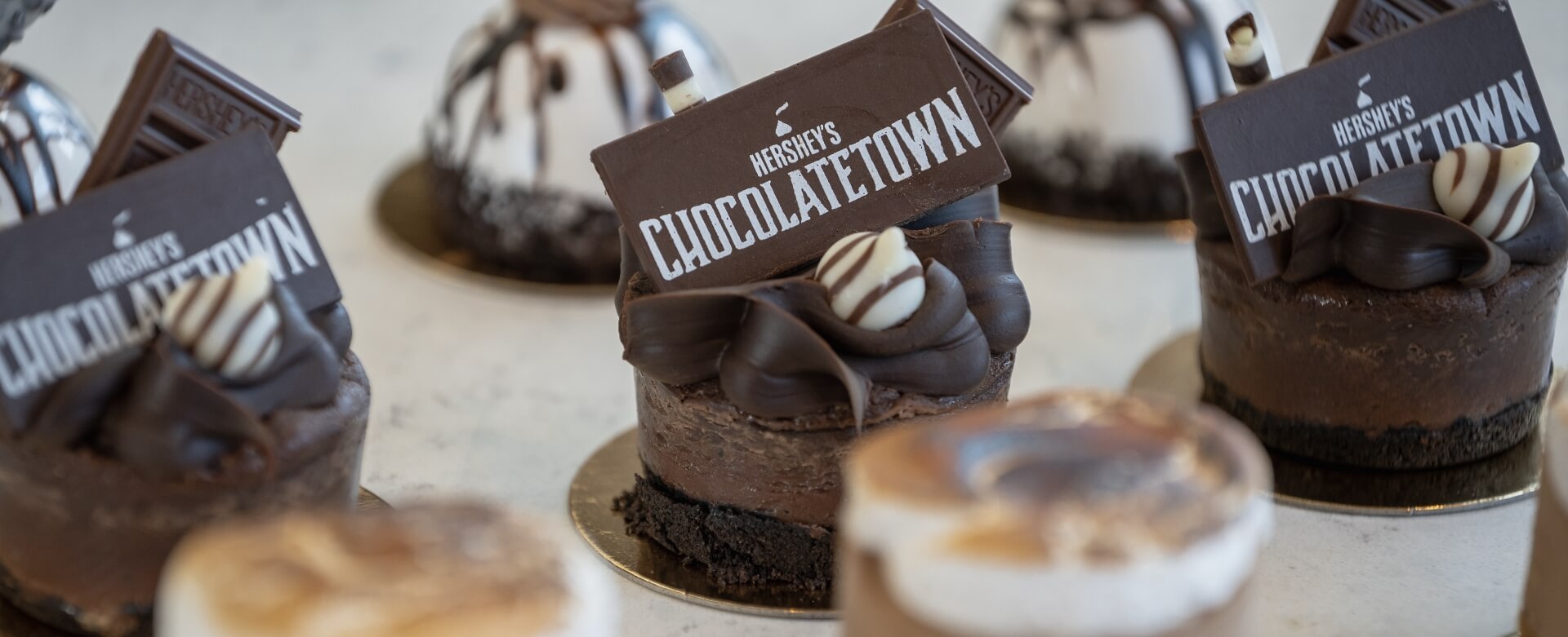 Chocolatetown Cupcake